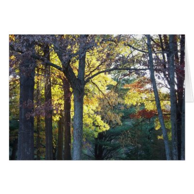 woods card by lizzymmmcf