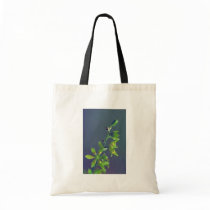 Wood's false hellebore bags by animalpark Wood's false hellebore bags