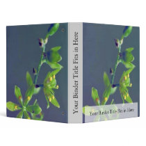 Wood's false hellebore binders by animalpark Wood's false hellebore binders