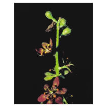 Wood's false hellebore custom flyer
