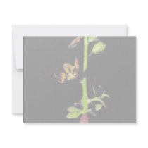 Wood's false hellebore invitations by animalpark Wood's false hellebore invitations