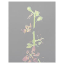 Wood's false hellebore letterhead by animalpark Wood's false hellebore letterhead