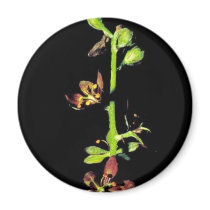 Wood's false hellebore magnets by animalpark Wood's false hellebore magnets