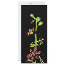 Wood's false hellebore full color rack card