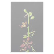 Wood's false hellebore stationery design
