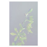 Wood's false hellebore customized stationery