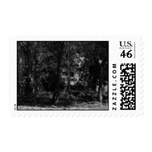 woods postage