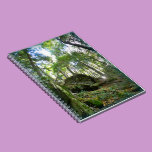 Wood's Rise at Clear Creek Metro Park notebooks