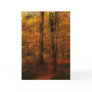 woods special effects cards