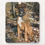 Woods Walk Boxer Mouse Mats