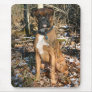 Woods Walk Boxer Mouse Mats