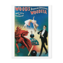 Wood's ~ Woodita Magician Vintage Magic Act Postcard