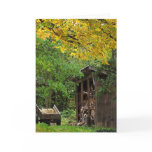 Woodshed cards