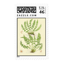 Woodsia Fern Postage Stamps