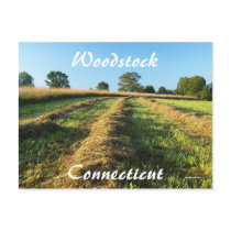 Woodstock postcards by cattilovebugg Woodstock postcards