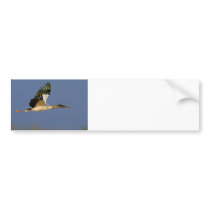 Woodstork in Flight Bumper Stickers