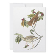 Woodthrush, John Audubon Personalized Invites