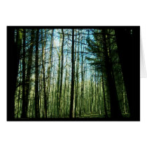 Woodwind (card) by Genaro Woodwind (card)