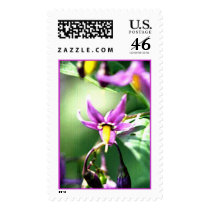 woodynightshade postage by gtk88594 woodynightshade postage