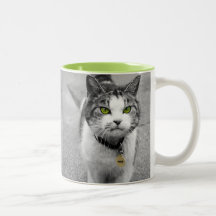Woof Mugs
