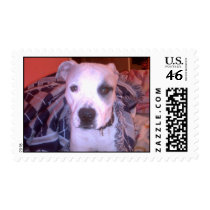 Woof Woof! postage