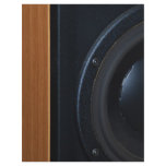 Woofer Customized Letterhead