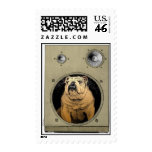 WOOFER RULE STAMPS