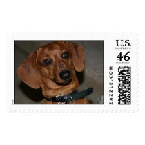 Woofers1, Ruby postage by msbordeaux7 Woofers1, Ruby postage