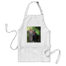 Wookpeckers Birds Apron