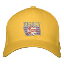 Wool Ball Cap, "Let's Motor" sides embroidered hats by skydrive Wool Ball Cap, "Let's Motor" sides embroidered hats