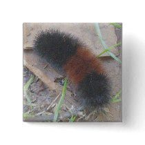 Woolly Bear Caterpillar Button by CarolsCamera Woolly Bear Caterpillar Button