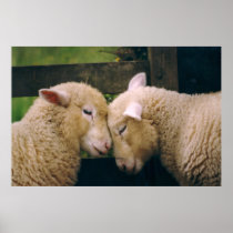 Woolly Love Ewes Poster