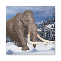 Woolly Mammoth Magnet