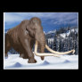 Woolly Mammoth Postcard