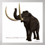 Woolly Mammoth Print