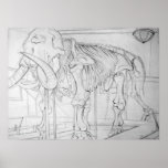 Woolly Mammoth Skeleton posters
