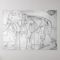 Woolly Mammoth Skeleton Posters