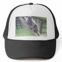 Woolly Monkey Cap, Animals Collection Mesh Hats
