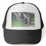 Woolly Monkey Cap, Animals Collection hats
