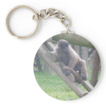 Woolly Monkey Key Ring, Animals Collection Key Chain