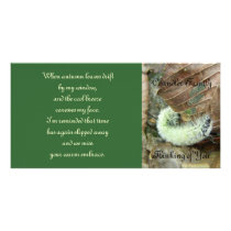 Wooly Bear Worm Photo Card w/Poetic Verse