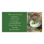 Wooly Bear Worm Photo Card w/Poetic Verse