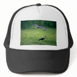 Wooly-necked Stork, in flight Trucker Hat