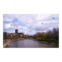 Worcester Swans poster posters by SuzeeQ Worcester Swans poster posters