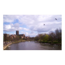 Worcester Swans poster posters