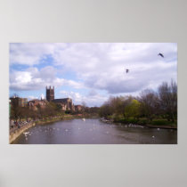 Worcester Swans poster posters