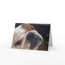WORD Greeting H cards