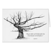 Word Of God Forever: Gnarled Tree in Pencil Greeting Card