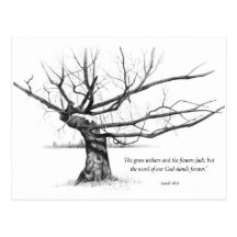 Word Of God Forever: Gnarled Tree in Pencil Postcards