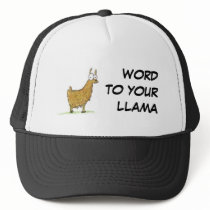 WORD TO YOUR LLAMA hats by ebster389 WORD TO YOUR LLAMA hats